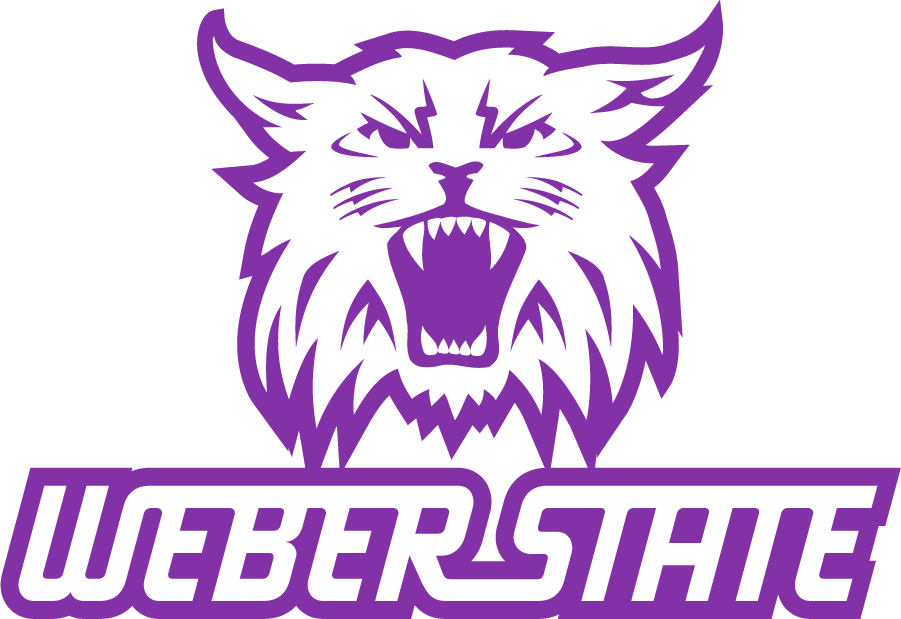 Weber State Wildcats 2008-2012 Secondary Logo v3 diy DTF decal sticker